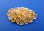 PLGA, A Material Widely Used in The Medical Field